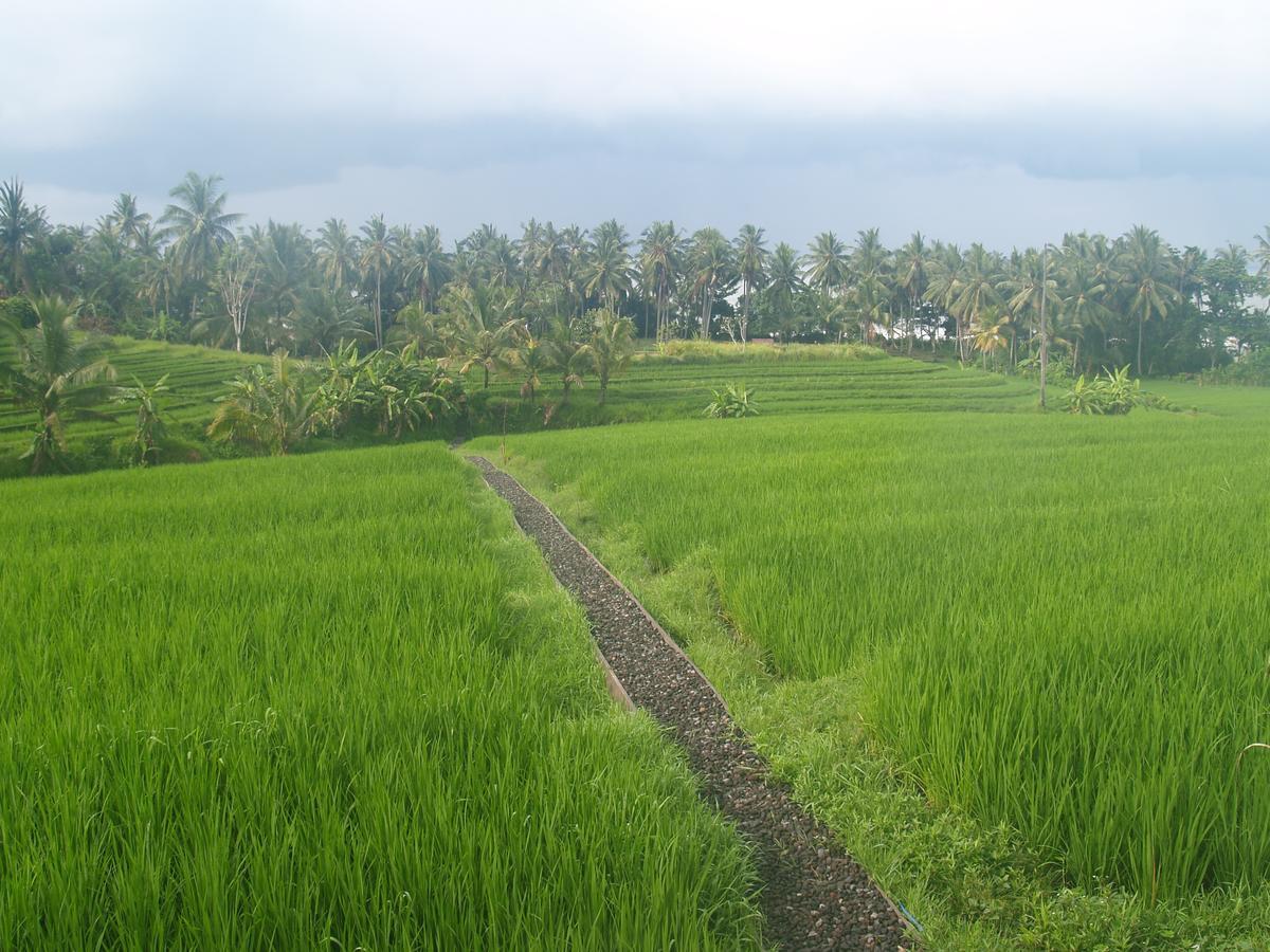 Bali Beach Eco Villas Pondok Matekap Selemadeg  Exterior photo